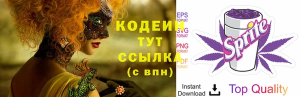 прущие грибы Горнозаводск