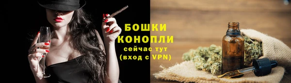 прущие грибы Горнозаводск