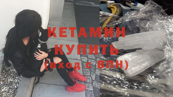 прущие грибы Горнозаводск