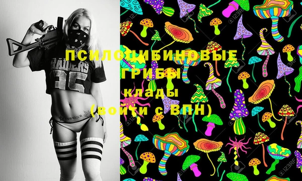 тгк Горняк