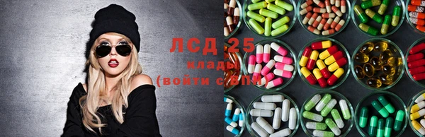 прущие грибы Горнозаводск