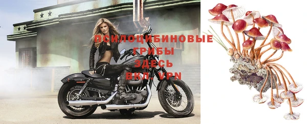 эйфоретик Лагань