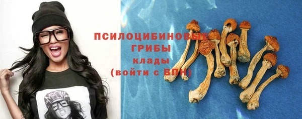 тгк Горняк