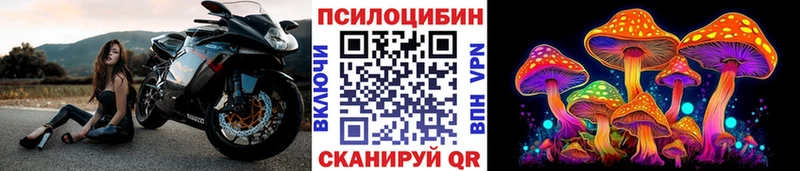 Галлюциногенные грибы мицелий  Оха 